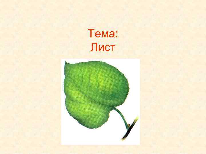 Тема: Лист 