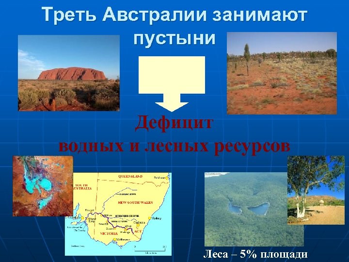 Треть Австралии занимают пустыни Дефицит водных и лесных ресурсов Леса – 5% площади 