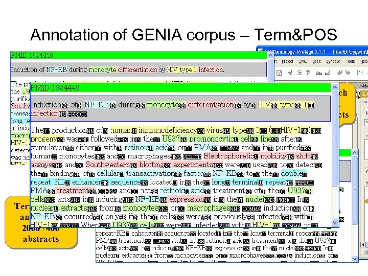 Annotation of GENIA corpus – Term&POS Part-of-speech annotation 2, 000 abstracts Term (entity) annotation