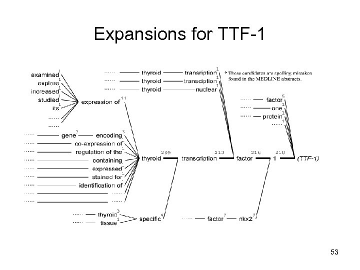 Expansions for TTF-1 53 