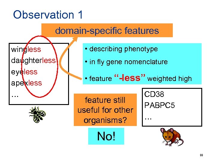 Observation 1 domain-specific features wingless daughterless eyeless apexless … • describing phenotype • in