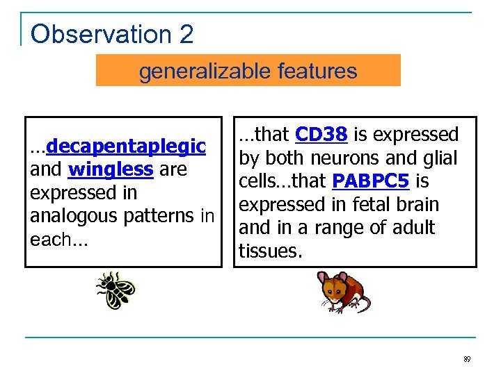 Observation 2 generalizable features …decapentaplegic and wingless are expressed in analogous patterns in each…