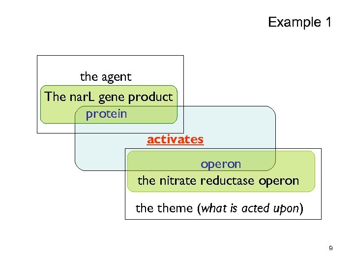 Example 1 the agent The nar. L gene product protein activates operon the nitrate