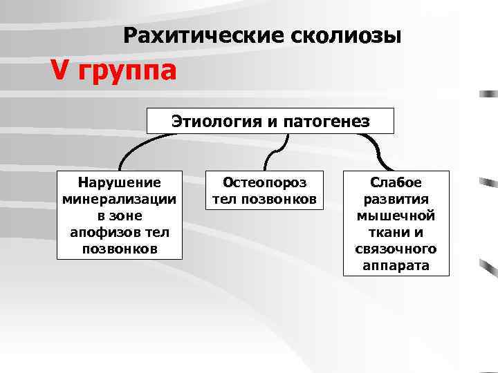 Рахитические сколиозы V группа Этиология и патогенез Нарушение минерализации в зоне апофизов тел позвонков