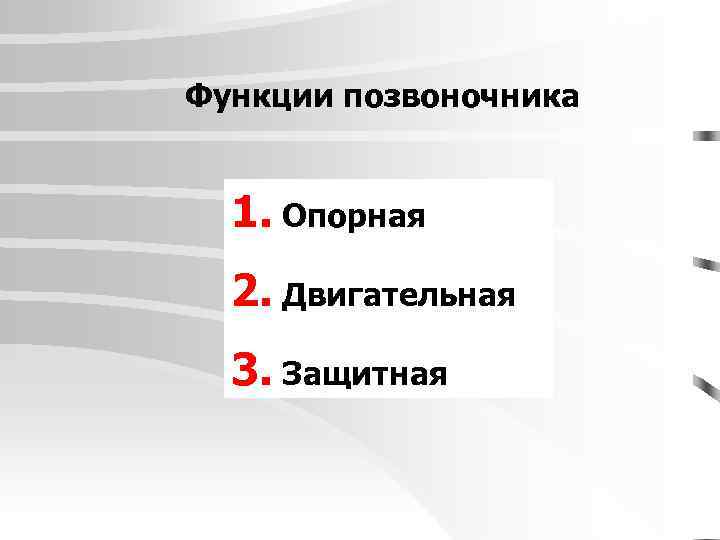 Функции позвоночника 1. Опорная 2. Двигательная 3. Защитная 