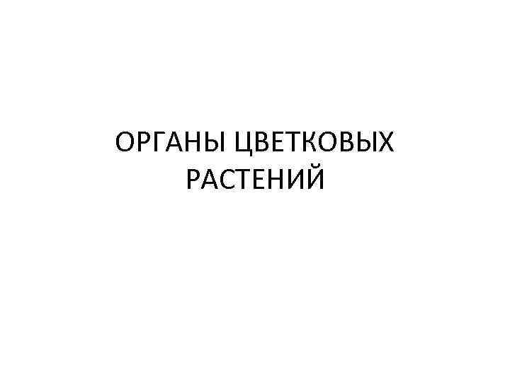 ОРГАНЫ ЦВЕТКОВЫХ РАСТЕНИЙ 