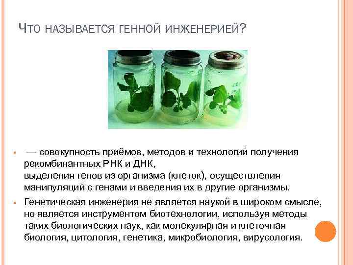 ЧТО НАЗЫВАЕТСЯ ГЕННОЙ ИНЖЕНЕРИЕЙ? § § — совокупность приёмов, методов и технологий получения рекомбинантных