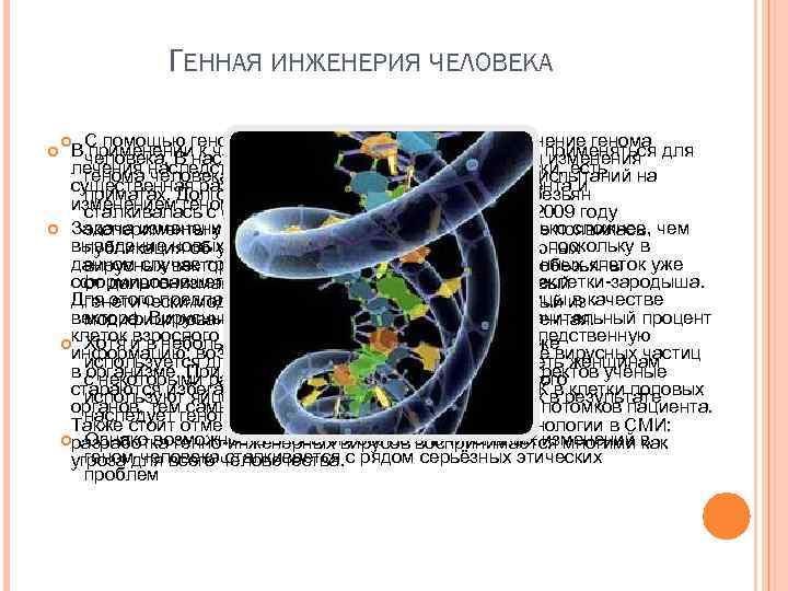 ГЕННАЯ ИНЖЕНЕРИЯ ЧЕЛОВЕКА С помощью генотерапии в будущем возможно изменение генома В применении к