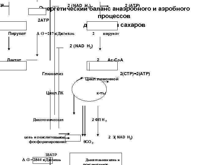 Схема аэробного стабилизатора