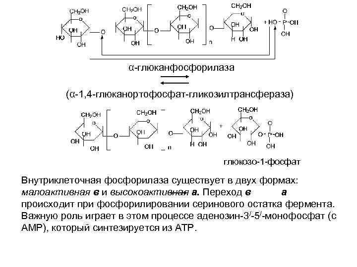 План повести обмен