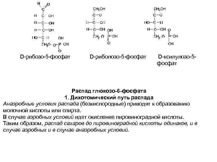 Рибозо 5 фосфат