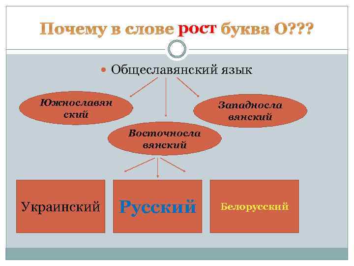 Почему в слове рост буква О? ? ? Общеславянский язык Южнославян ский Западносла вянский