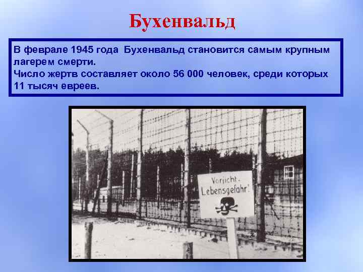 Бухенвальд В феврале 1945 года Бухенвальд становится самым крупным лагерем смерти. Число жертв составляет