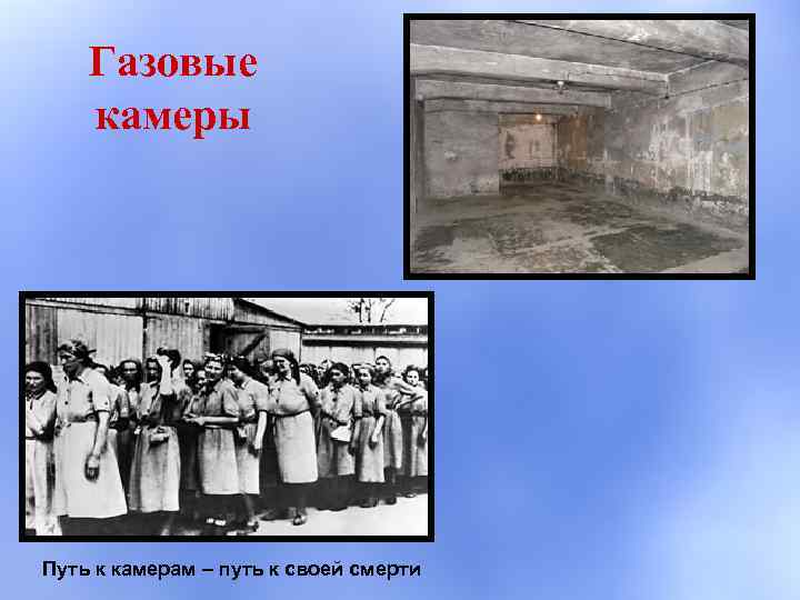 Газовые камеры Путь к камерам – путь к своей смерти 