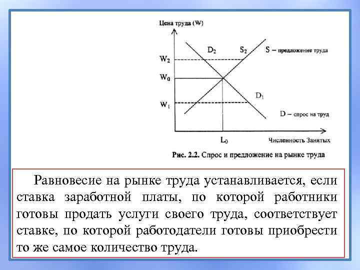 Равновесие на рынке труда устанавливается, если ставка заработной платы, по которой работники готовы продать