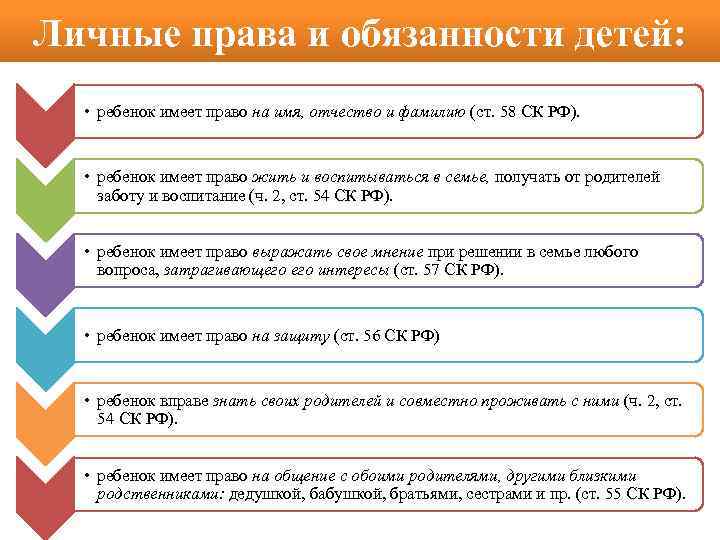 Проект декларации прав членов семьи