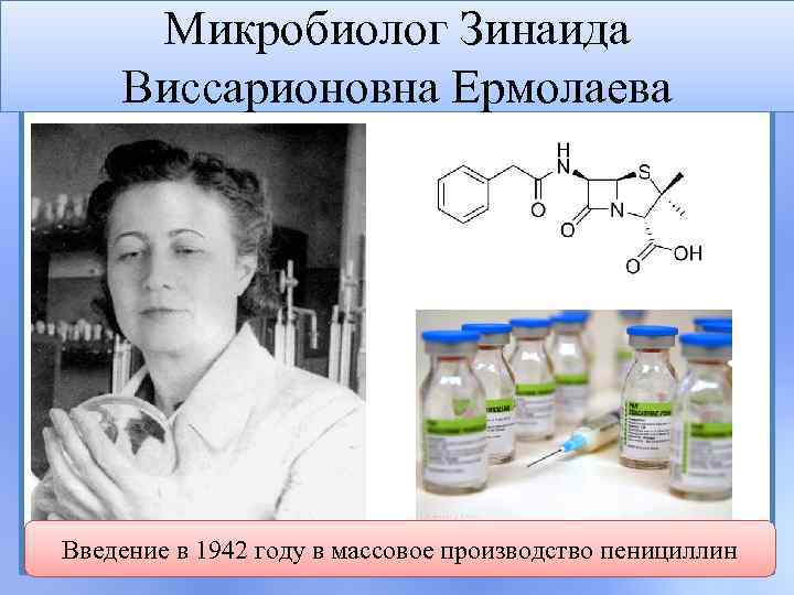 Микробиолог Зинаида Виссарионовна Ермолаева Введение в 1942 году в массовое производство пенициллин 