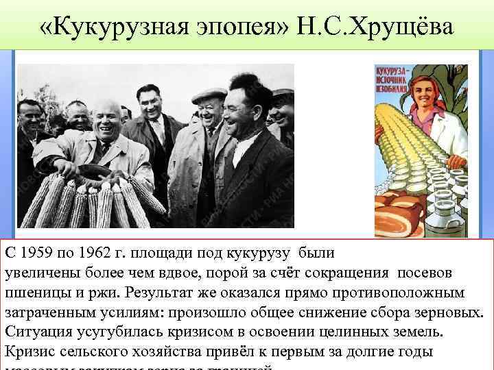  «Кукурузная эпопея» Н. С. Хрущёва С 1959 по 1962 г. площади под кукурузу