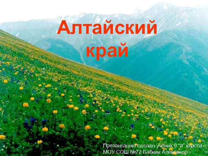 Алтайский край Презентацию сделал ученик 9 “a” класса МОУ СОШ № 72 Бабкин Александр