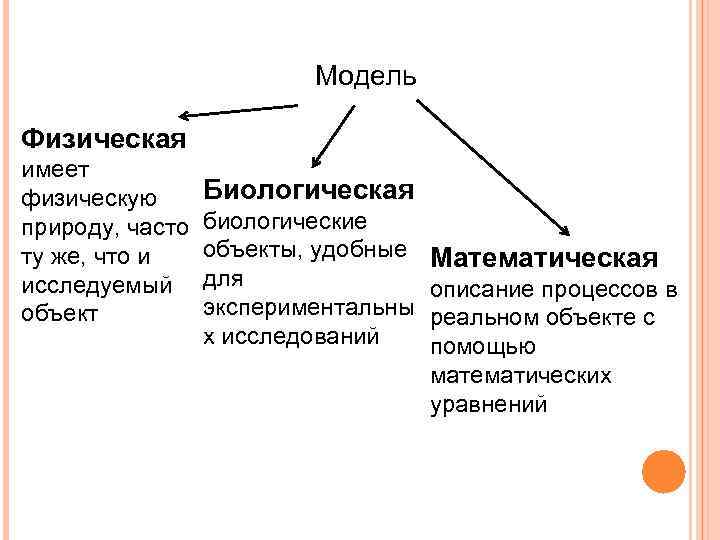 Физическое биологическое