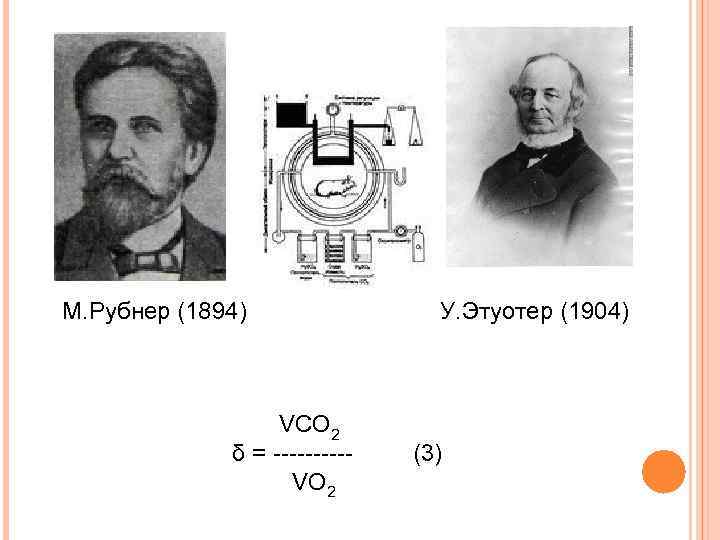 М. Рубнер (1894) У. Этуотер (1904) VCO 2 δ = ----- (3) VO 2