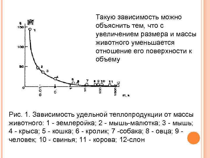 Объясните зависимость. Зависимость Удельной поверхности и ёмкости. Зависимость с увеличением уменьшается. Зависимость теплопродукции массы животного. Зависимость Удельной теплопродукции от массы животного на графике.