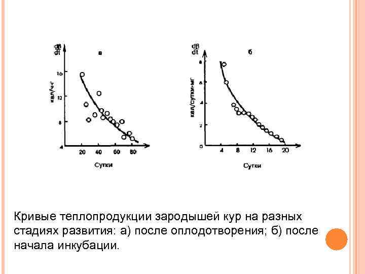 Кривые теплопродукции зародышей кур на разных стадиях развития: а) после оплодотворения; б) после начала