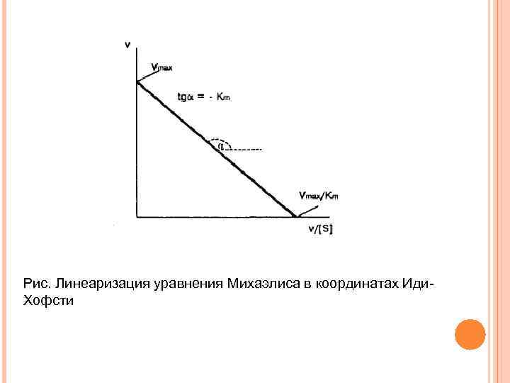 График иди. График эди Хофсти. Уравнение эди Хофсти. Координаты иди Хофсти. Линеаризация иди Хофсти.