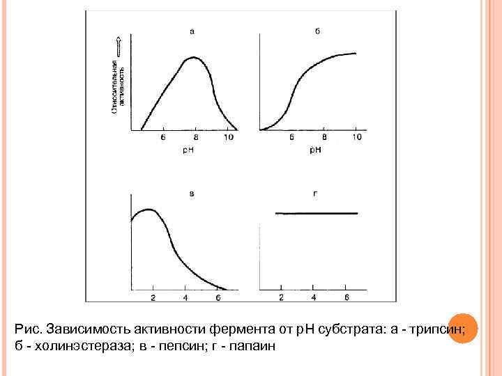 Зависимость активности