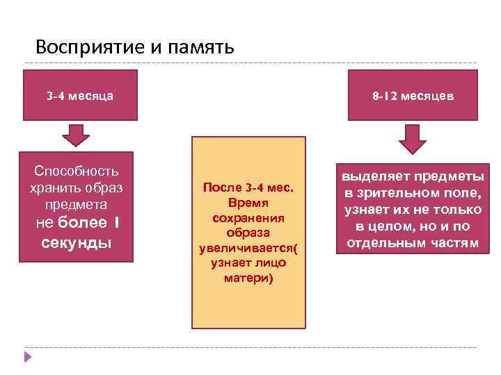 Восприятие и память 3 -4 месяца Способность хранить образ предмета не более 1 секунды