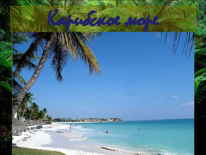 Карибское море 