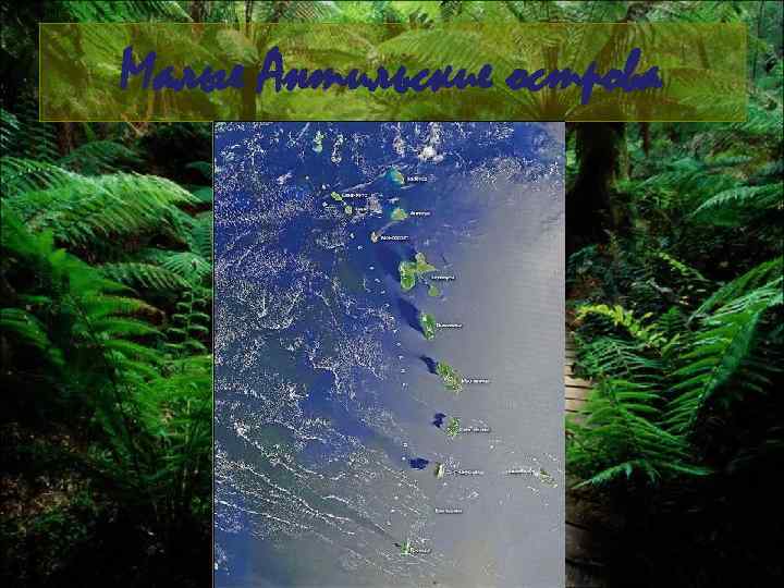 Малые Антильские острова 