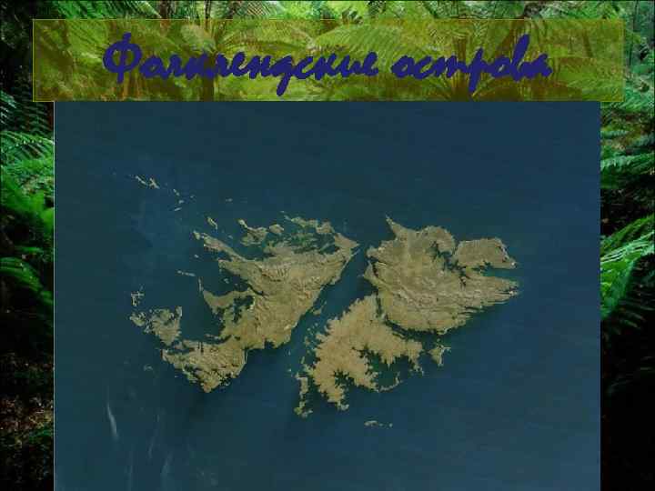 Фолклендские острова 