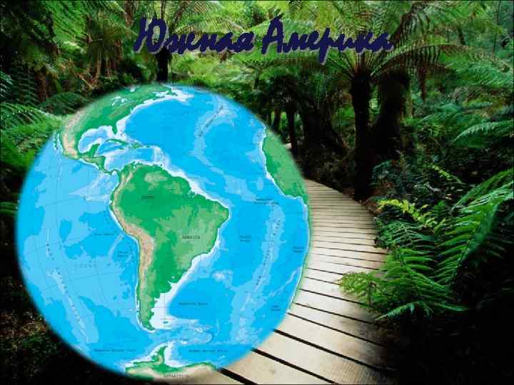 Южная Америка 