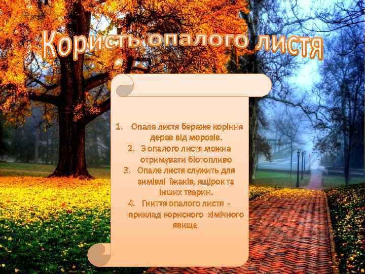 1. Опале листя береже коріння дерев від морозів. 2. З опалого листя можна отримувати