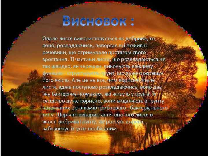 Опале листя використовується як добриво, то воно, розпадаючись, повертає всі поживні речовини, що отримувало