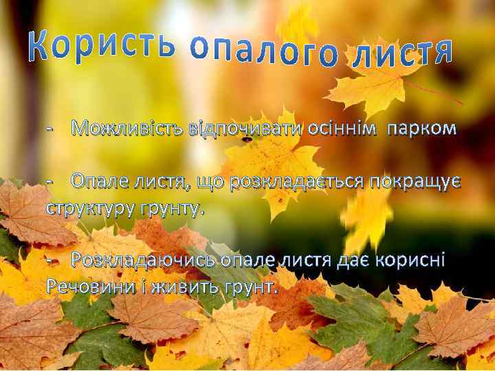 - Можливість відпочивати осіннім парком - Опале листя, що розкладається покращує структуру грунту. -