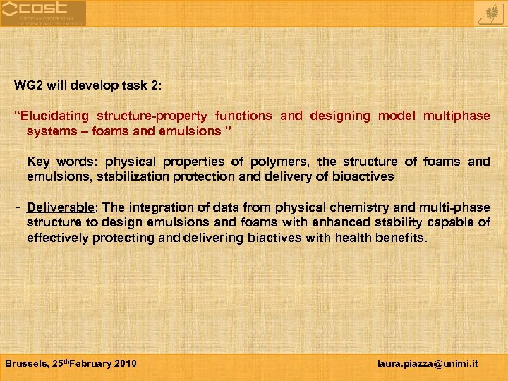 WG 2 will develop task 2: “Elucidating structure-property functions and designing model multiphase systems