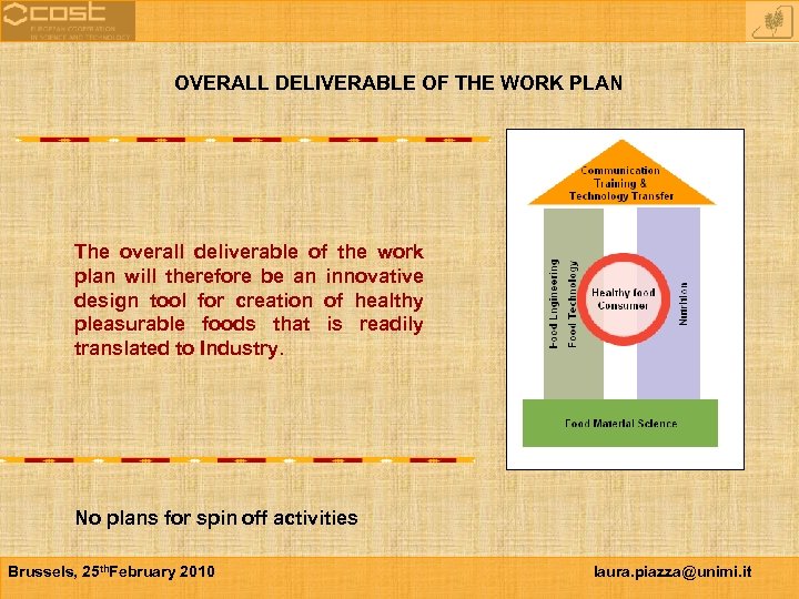 OVERALL DELIVERABLE OF THE WORK PLAN The overall deliverable of the work plan will