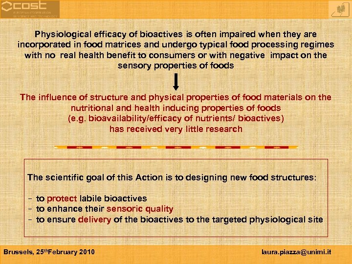 Physiological efficacy of bioactives is often impaired when they are incorporated in food matrices