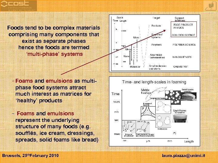 Foods tend to be complex materials comprising many components that exist as separate phases