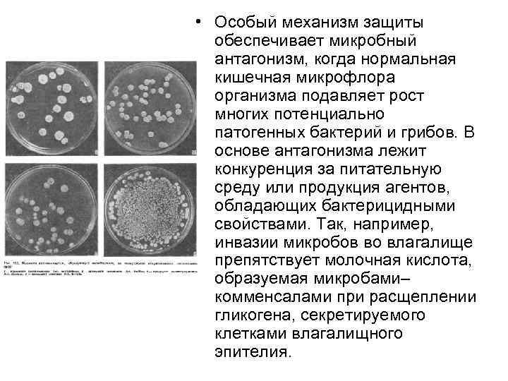 Микробного антагонизма схема