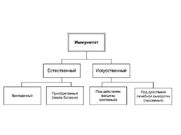 Классификационная схема иммунитета