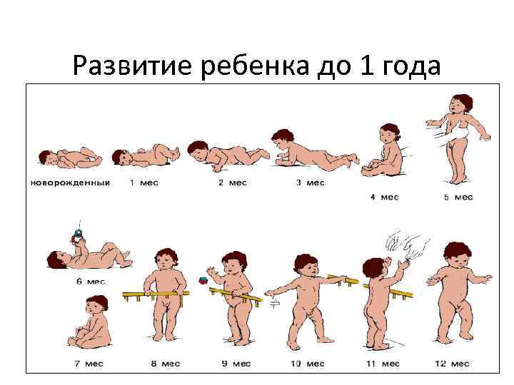 Развитие ребенка до 1 года 