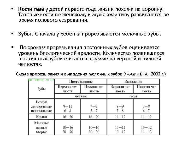  • Кости таза у детей первого года жизни похожи на воронку. Тазовые кости