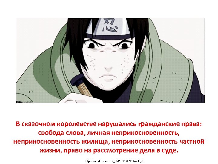 В сказочном королевстве нарушались гражданские права: свобода слова, личная неприкосновенность, неприкосновенность жилища, неприкосновенность частной