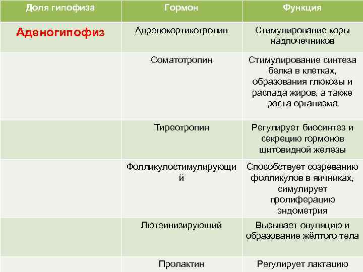 Доля гипофиза Гормон Функция Аденогипофиз Адренокортикотропин Стимулирование коры надпочечников Соматотропин Стимулирование синтеза белка в