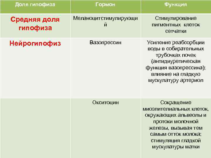 Доля гипофиза Гормон Функция Средняя доля гипофиза Меланоцитстимулирующи й Стимулирование пигментных клеток сетчатки Нейрогипофиз