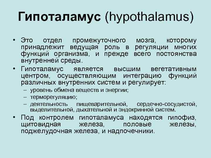 Гипоталамус (hypothalamus) • Это отдел промежуточного мозга, которому принадлежит ведущая роль в регуляции многих