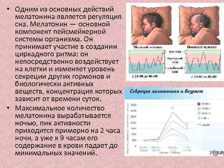  • Одним из основных действий мелатонина является регуляция сна. Мелатонин — основной компонент